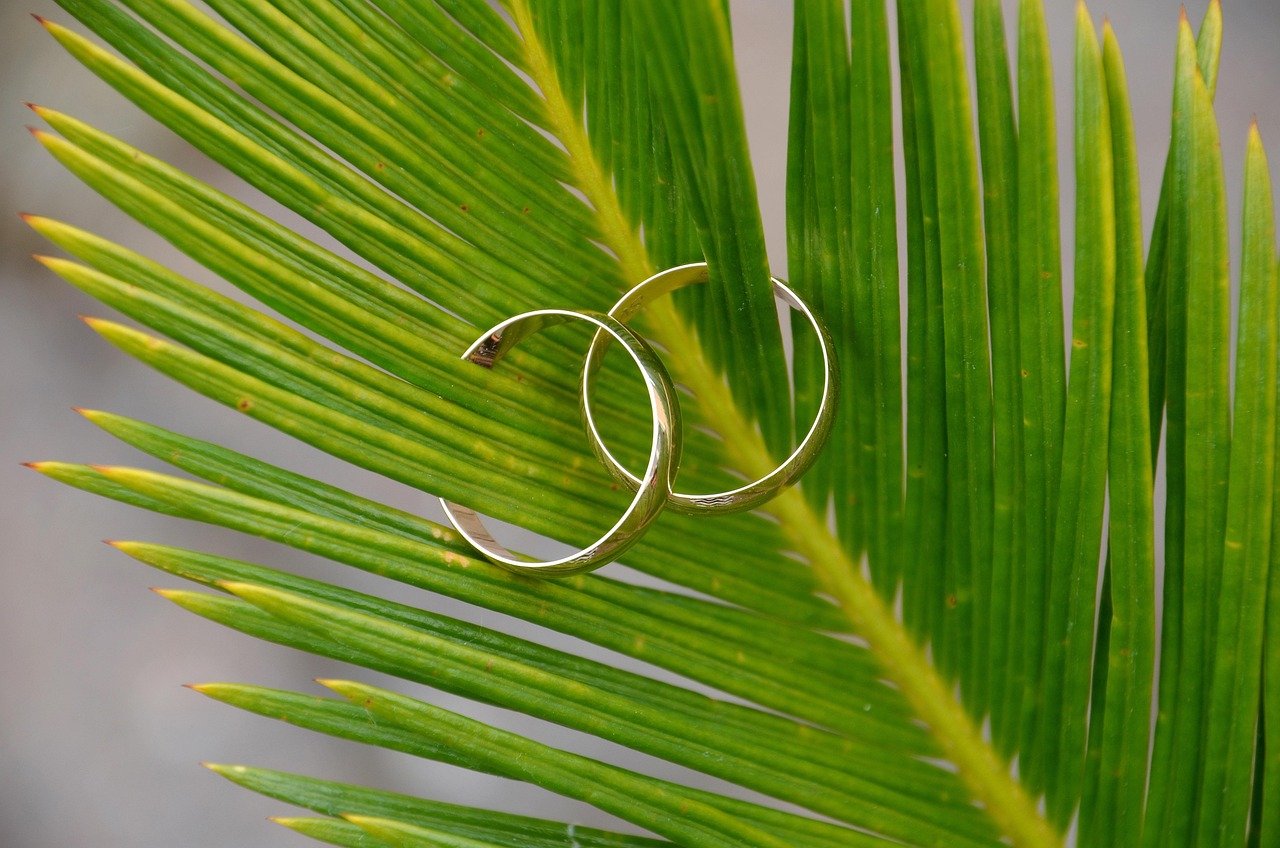 wedding rings, rings, wedding, together, few, to marry, before, romantic, symbol, gold, wedding day, wedding rings, wedding rings, wedding rings, wedding rings, wedding rings, wedding, wedding, wedding